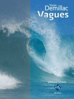 VAGUES GUITARE