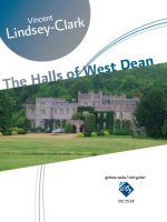 THE HALLS OF WEST DEAN GUITARE