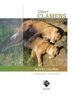 NOTES CALINES GUITARE