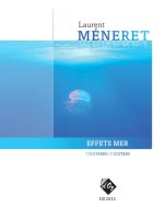 EFFETS MER