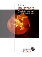 CRISTALLI DI SALE
