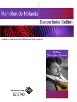 CONCERTINHO COLIBRI