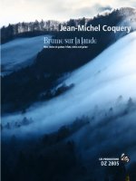 BRUME SUR LA LANDE