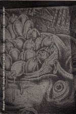 Ratures 02