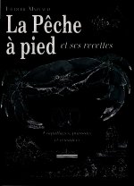 La pêche à pied