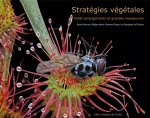 Stratégies végétales, petits arrangements et grandes manœuvres