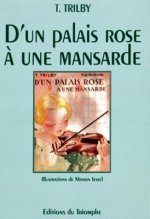 D'un palais rose à une mansarde, tome 12