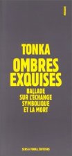 Ombres exquises - ballade en Irlande sur l'échange symbolique et la mort
