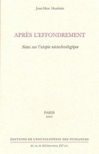 Après l'affondrement