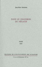 Dans le chaudron du négatif