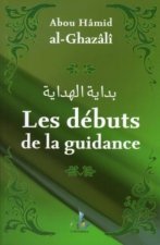 Les debuts de la guidance