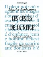 LES GESTES DE LA NEIGE