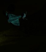 Mademoiselle Lune