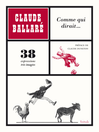 COMME QUI DIRAIT ...