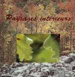 Paysages intérieurs