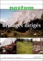 BRULAGES DIRIGES