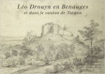 Leo drouyn en benauges t xiv
