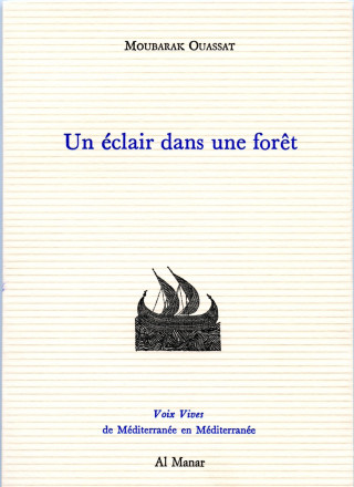 Un éclair dans une forêt
