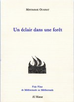 Un éclair dans une forêt