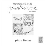 CHRONIQUES D'UN PARATONNERRE