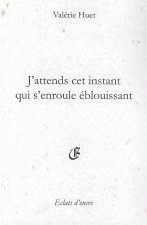 J'ATTENDS CET INSTANT QUI S'ENROULE ÉBLOUISSANT