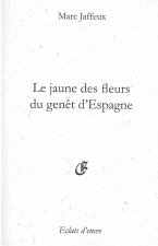 LE JAUNE DES FLEURS DU GENÊT D'ESPAGNE