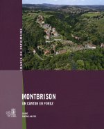 Montbrison, Un Canton En Forez 251