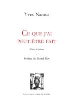 CE QUE J'AI PEUT-ETRE FAIT