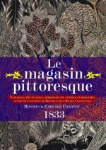 LE MAGASIN PITTORESQUE