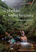LES LIBELLULES DES ANTILLES FRANCAISES