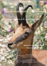 Les bovidés et l'Homme