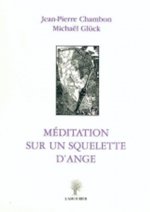 MEDITATION SUR UN SQUELETTE D'ANGE