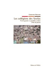 Les collégiens des favelas - vie de quartier et quotidien scolaire à Rio de Janeiro