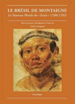 Le Brésil de Montaigne