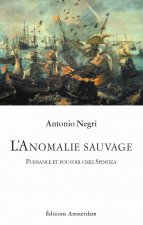 L' Anomalie sauvage