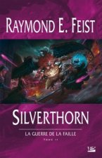 La Guerre de la Faille T03 Silverthorn
