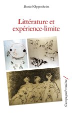 Litterature et expérience-limite