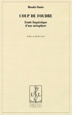Coup de foudre - étude linguistique d'une métaphore