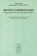 Identité et représentation - créations plastiques des Guarani et des Kadiwéo du Brésil