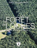 La forêt de Loches