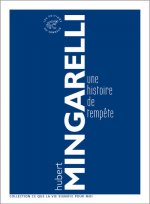 Une histoire de tempête