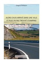 Alors chuis arrivé dans une ville, et puis j'ai pas trouvé l'camping