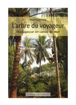 Les arbres du voyageur - kayak de mer à Madagascar