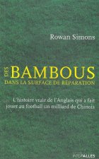 Des Bambous dans la Surface de Reparation