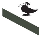 Les Oiseaux sont des cons