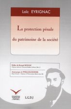 La protection pénale du patrimoine de la société