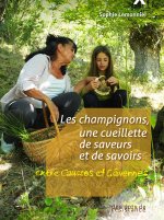 LES CHAMPIGNONS, UNE CUEILLETTE DE SAVOIRS ET DE SAVEURS