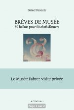 Brèves de musée - 50 haïkus pour 50 chefs d'œuvre
