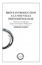 Brève introduction à la nouvelle phénoménologie