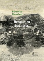 Résolution des rêves